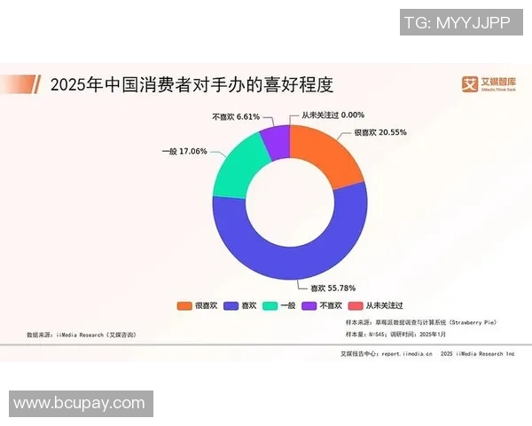 体育赛事票价调查分析与市场趋势解读：影响因素与消费者行为研究